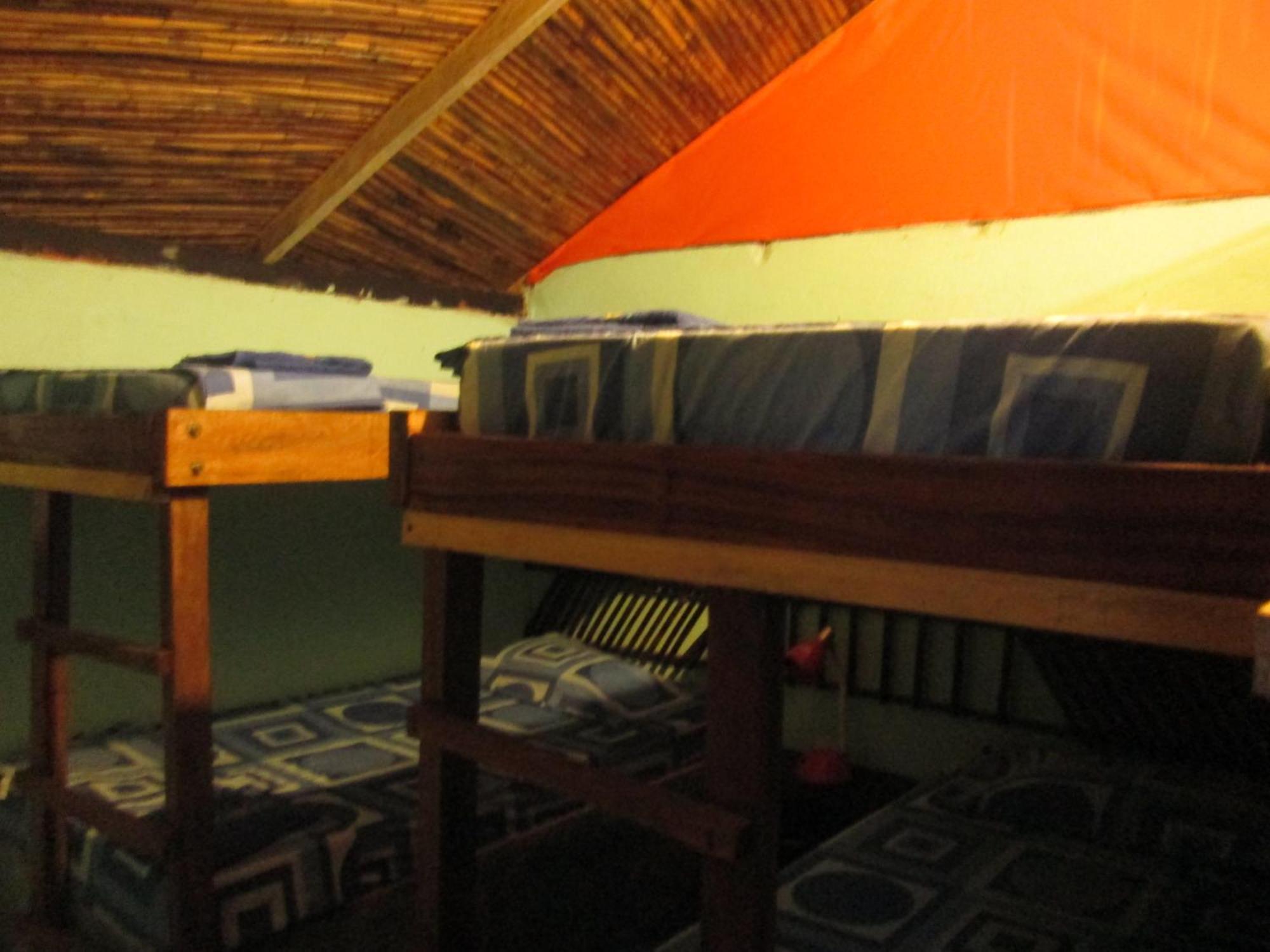Hostel Cattleya Palomino Exterior foto