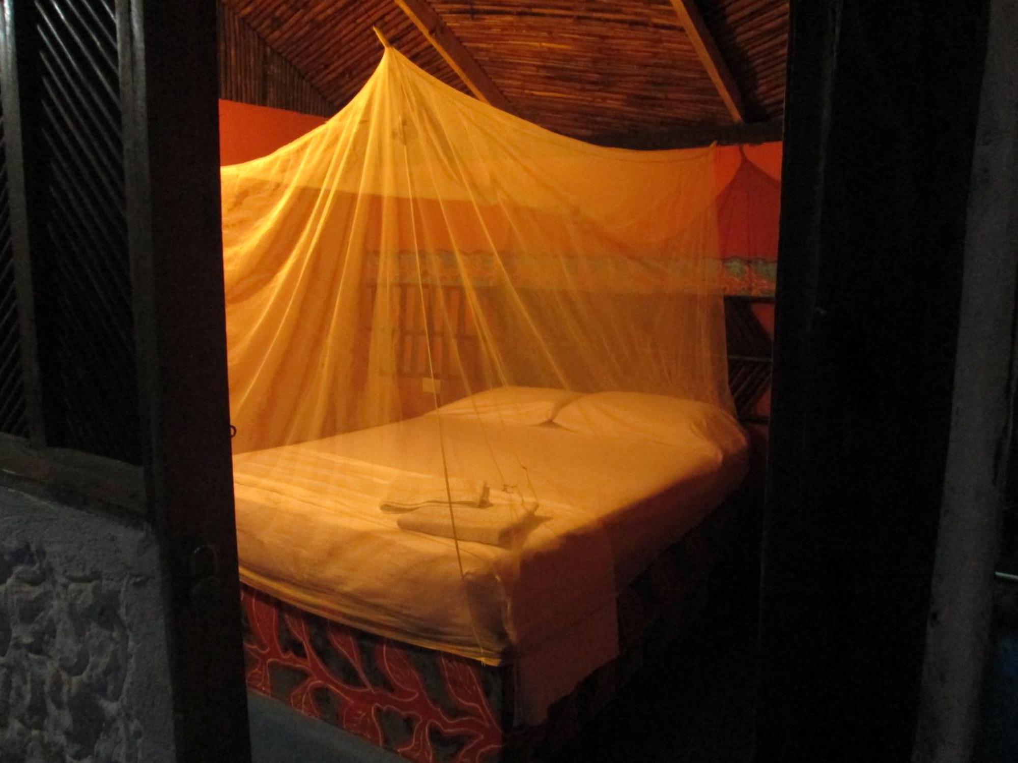 Hostel Cattleya Palomino Exterior foto